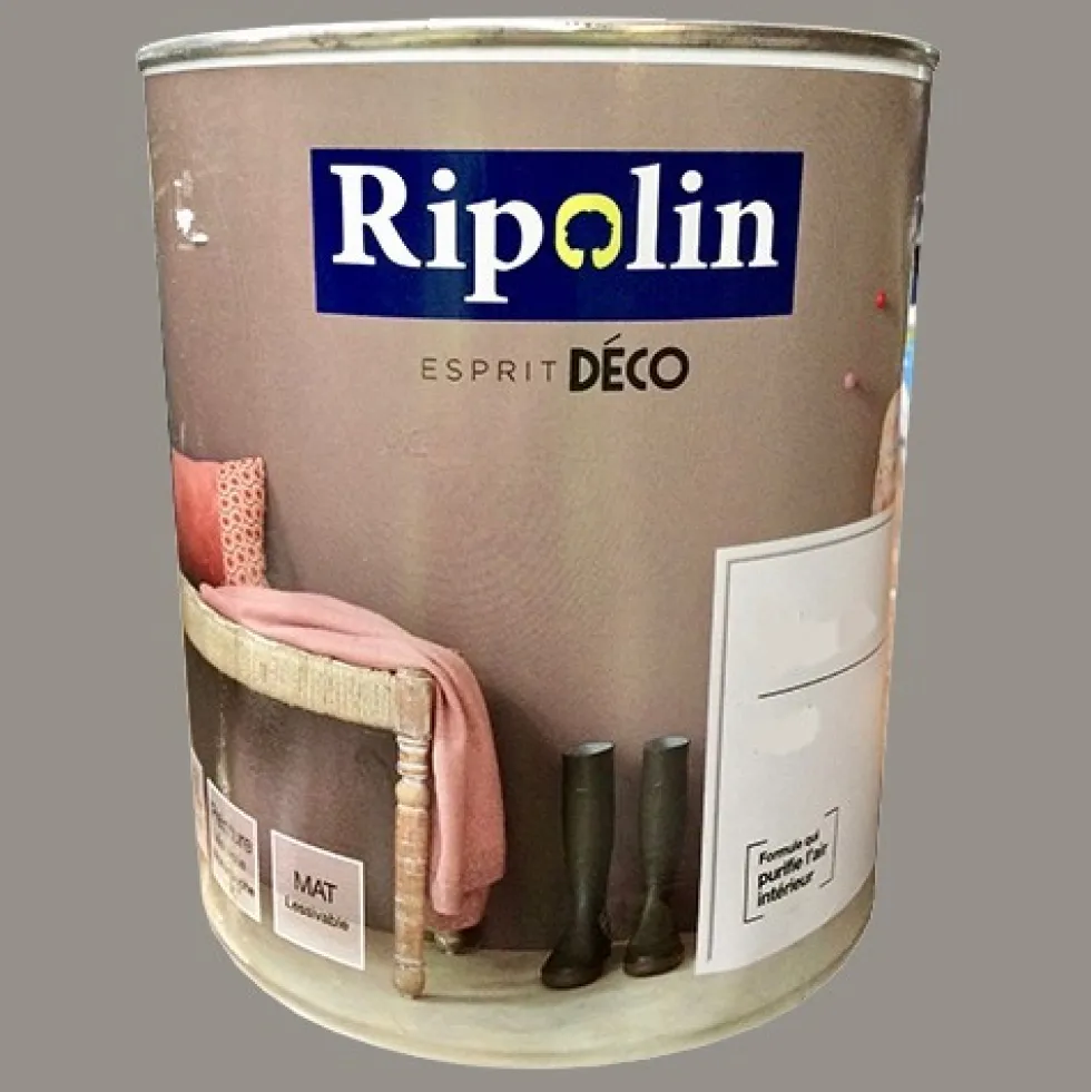 RIPOLIN Peinture Esprit Déco Gris fusain Mat