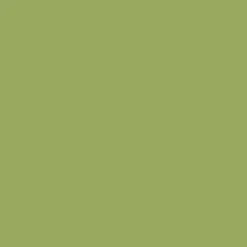 RIPOLIN Peinture Esprit Récup' Pièce à vivre Vert granny