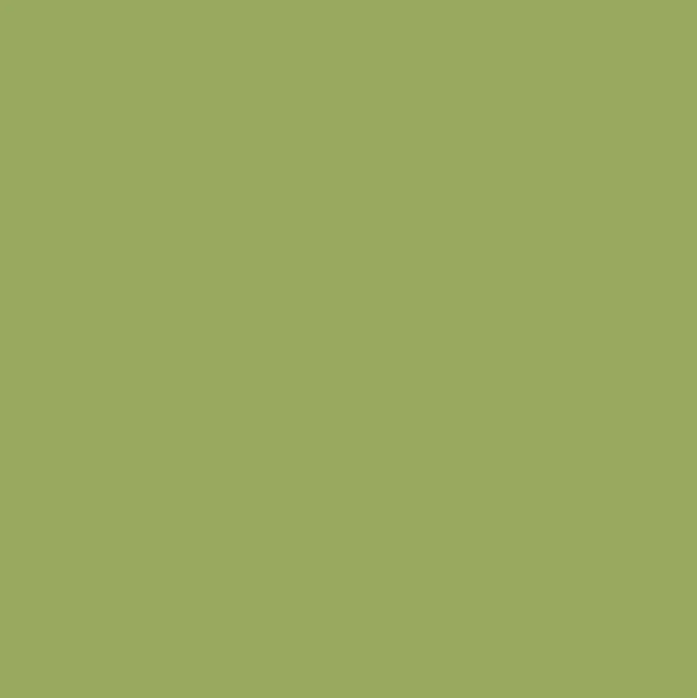 RIPOLIN Peinture Esprit Récup' Pièce à vivre Vert granny