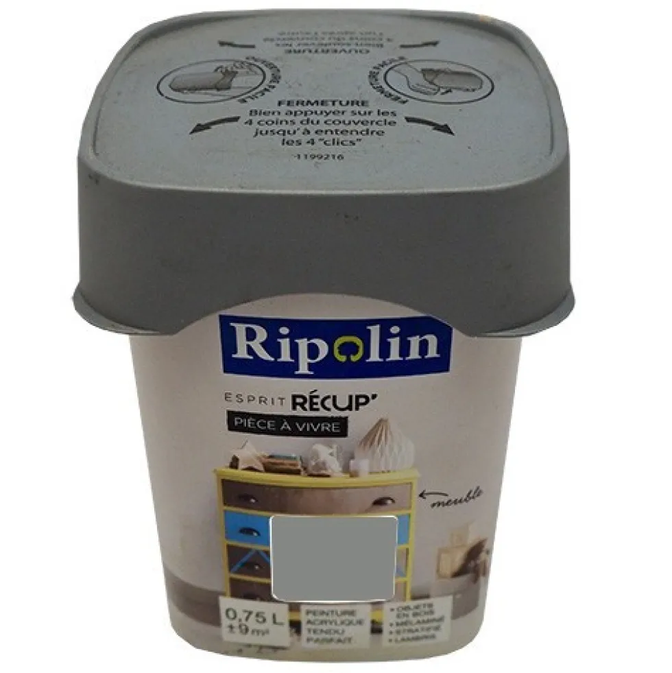 RIPOLIN Peinture Esprit Récup' Pièce à vivre Gris étain