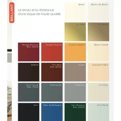 Testeur Laque brillant Dulux Valentine Valénite Rouge Basque
