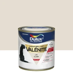Testeur Laque brillant Dulux Valentine Valénite Lin Clair