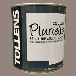 TOLLENS Peinture acrylique multi-usages "Couleur Plurielle" satin Distinguée