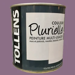 TOLLENS Peinture acrylique multi-usages "Couleur Plurielle" mat Ravissante