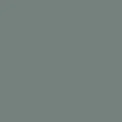 V33 Vernis Meuble Color Wolf